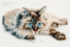Fluffy Happiness Cross Stitch Kit by Magic Needle