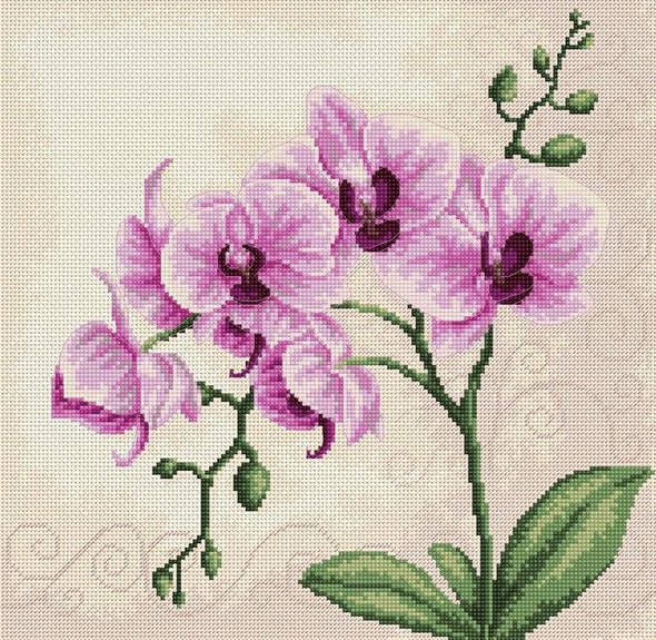 Orchid Cross Stitch Kit by Luca-S