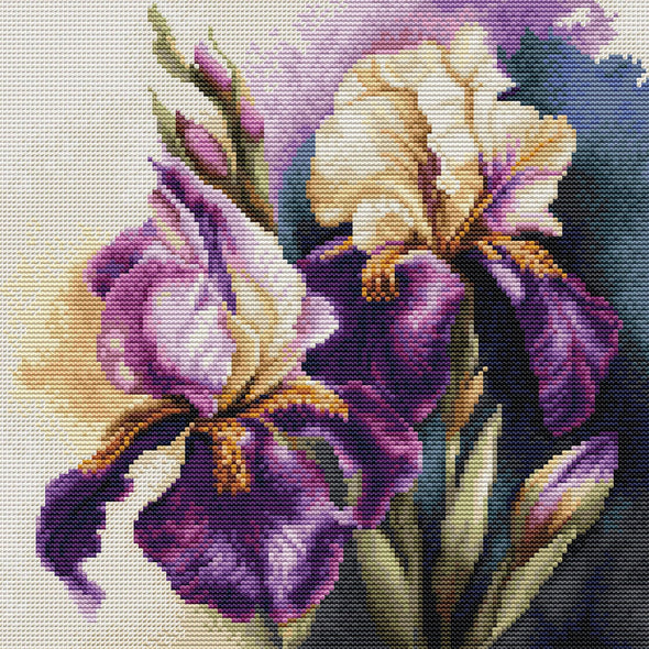 Iris "Burgermeister" Cross Stitch Kit by Luca-S