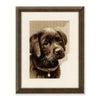 Labrador Puppy Cross Stitch Kit by Vervaco