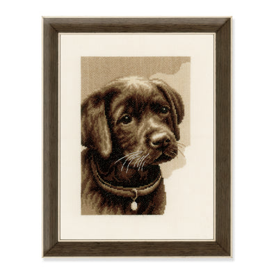 Labrador Puppy Cross Stitch Kit by Vervaco