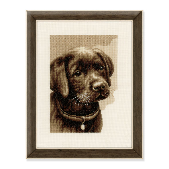 Labrador Puppy Cross Stitch Kit by Vervaco
