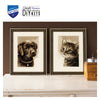 Labrador Puppy Cross Stitch Kit by Vervaco